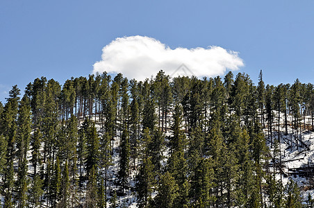 南达科他州树木叶子丘陵天空爬坡道山脉图片