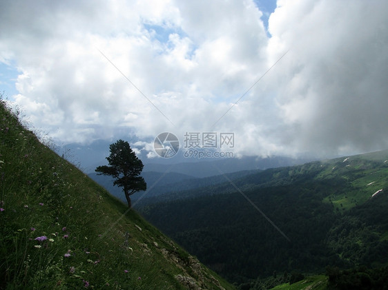 山山脉风景植被岩石高地石头高原文件斜坡草甸生物图片