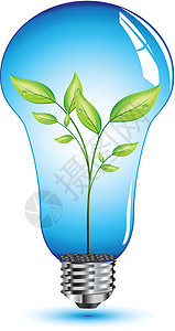 灯泡内自然叶玻璃创造力技术金属绿色电气螺旋叶子生态插图图片