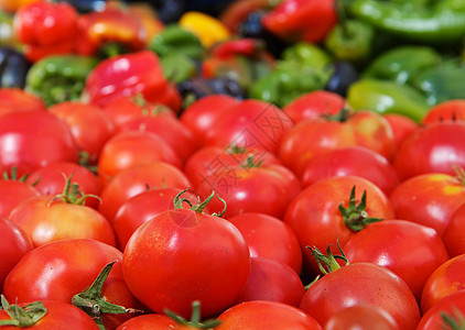 番茄和辣椒红色种子收成植被营养市场蔬菜生产绿色胡椒图片