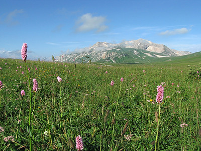 山山脉高原山丘石头青菜植物天空旅行路线岩石高山图片