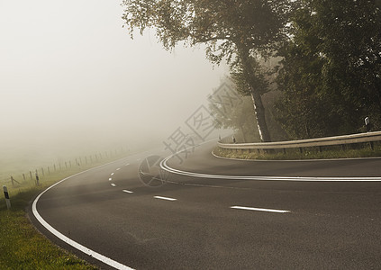 nobel 纳贝森林天气季节沥青旅行树木场景运输树叶薄雾图片