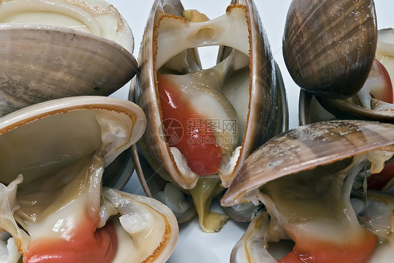 平滑的蛤美食海鲜食物饮食贝类蝴蝶盘子柠檬烹饪餐厅图片