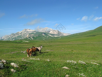 山山脉山丘天空全景解脱植被高原风景植物路线一匹马图片