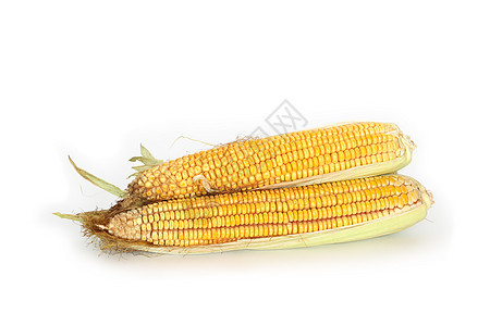 Rir 原玉米种子饮食棒子健康饮食谷类农业食物植物成分庄稼图片