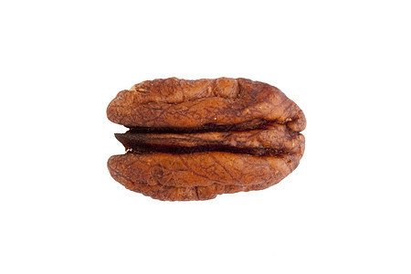 Pecan 白豹营养小吃坚果食物棕色白色过敏背景图片