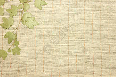 织物纺织以外的干枯绿叶宏观材料空白解雇艺术帆布亚麻编织纺织品条纹图片