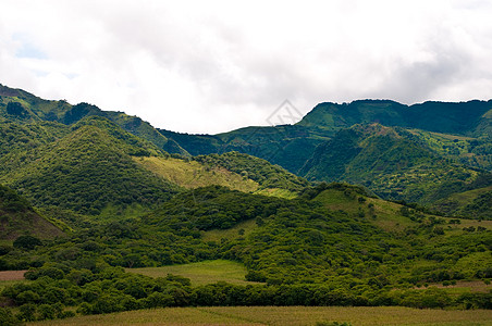 奶牛吃草在尼加拉瓜的山中高度全景高原地块地平线高地孤独山脉绿色荒野背景