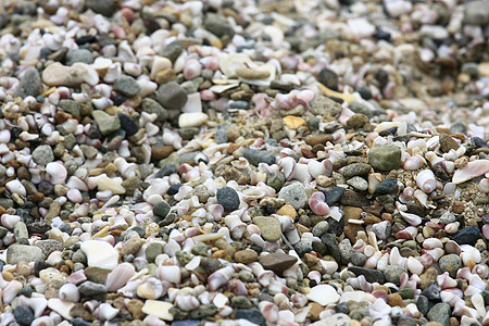 海滩花边海岸石头碎石圆形卵石支撑海岸线鹅卵石岩石矿物质图片
