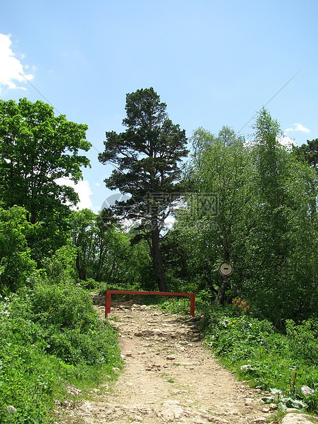 山山脉岩石植物群路线石头高地青菜旅行山丘轨道解脱图片