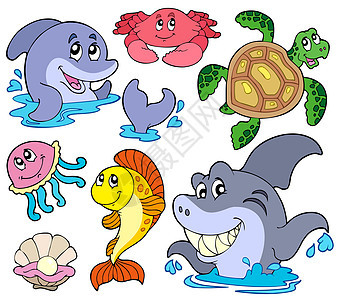 一组海洋动物图片