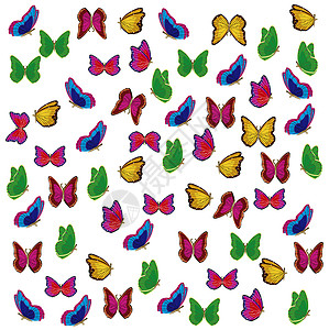 很多变异的昆虫蝴蝶图片