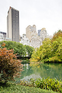 美国纽约市中央公园Pond池塘建筑建筑物外观建筑学世界树木旅行摩天大楼公园位置图片