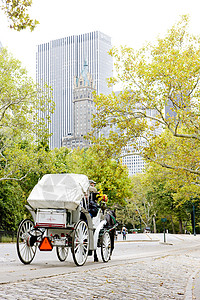 美国纽约州纽约市中央公园的车厢交通工具车辆摩天大楼外观旅行建筑学城市马队公园马匹图片