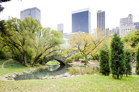 美国纽约市中央公园Pond池塘建筑摩天大楼城市桥梁公园建筑物位置外观旅行世界图片