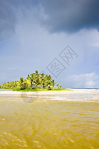 特立尼达可可湾热带植物海景支撑海洋树木孤独世界岛屿棕榈图片