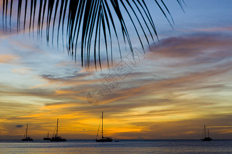 格林纳达大安斯湾加勒比海上空日落海景帆船风景血管外观旅行支撑孤独海岸手掌图片