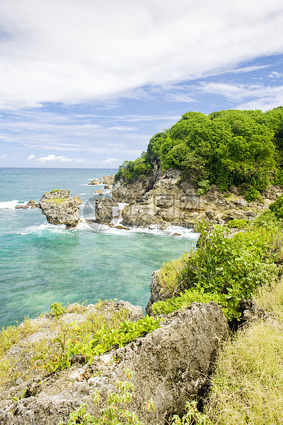 弓箭手湾 巴巴多斯 加勒比海海景植被热带旅行海岸支撑岛屿海岸线天堂悬崖图片