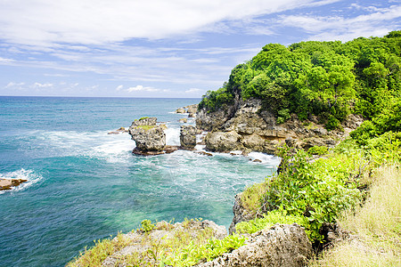 弓箭手湾 巴巴多斯 加勒比海风景海岸线世界支撑植被海景海湾外观孤独海岸图片