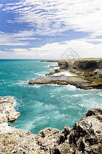 北点 巴巴多斯 加勒比孤独支撑悬崖外观岩石海岸线风景旅行海洋海岸图片