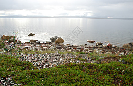 Finnmark的野外景观冰川多云绿色反光石青蛙苔原荒野阳光植被海岸图片