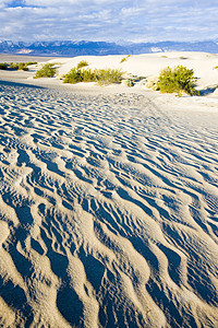 卡利福恩死亡谷国家公园水井沙沙沙沙沙丘旅行外观干旱沙丘流沙位置世界山脉衬套沙漠图片