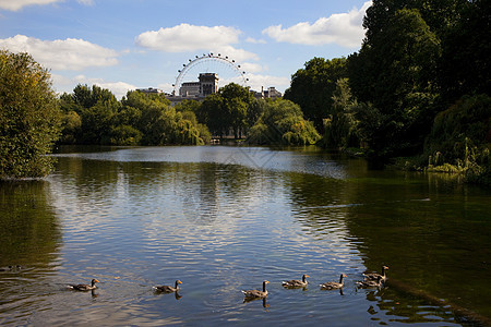 圣詹姆斯公园的伦敦之眼图片