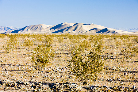 美国加利福尼亚州植物群起伏位置沙漠风景衬套旅行流沙沙丘外观图片
