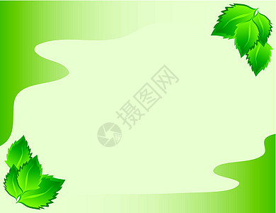 带有树叶的边框桦木边界曲线屏幕绿色插图科学框架叶子圆圈图片