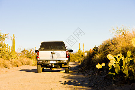 美国亚利桑那州萨瓜罗国家公园外观汽车公路个人运输交通旅行世界位置沙漠图片