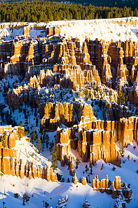 国家公园 冬季 美国犹他州犹他州世界岩石位置峡谷旅行构造侵蚀地质外观风景图片