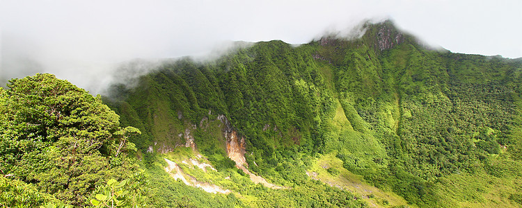 圣基茨爬坡热带旅行背风天堂火山植被陨石海拔杂草图片