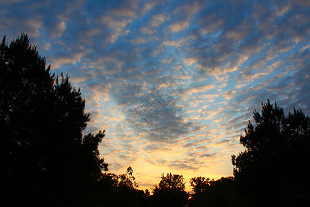 阿拉巴马日落植被天空气氛图片