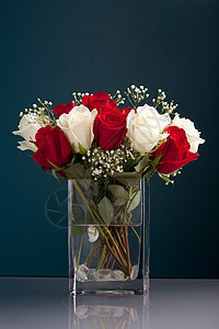 白玫瑰和红玫瑰花瓶庆典生日花瓣礼物花束植物群红色纪念日花朵图片