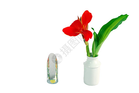 鲜花安排和装饰品及装饰品香气花瓶植物学树叶制品陶瓷花瓣美人红花香味图片