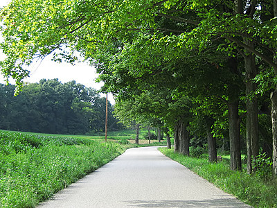 再次在路上车道森林场地农田风景季节农村树木绿地环境图片