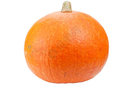 橙色南瓜在白色背景中被孤立食物橙子季节水果蔬菜植物工作室水平生态摄影图片