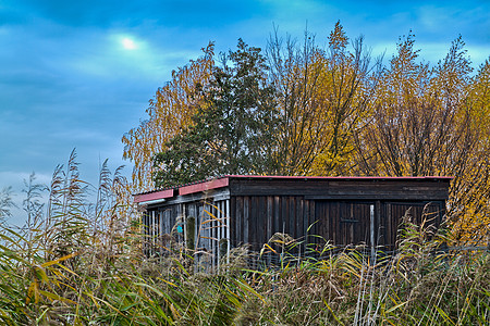 孤单的哈迪人森林衬套荒野盒子庇护所倾斜房子蓝色建筑贮存图片