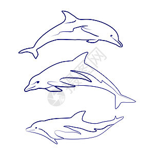 海豚光影绘画飞跃线条漩涡海洋冲浪者魔法蓝色跳跃流动图片