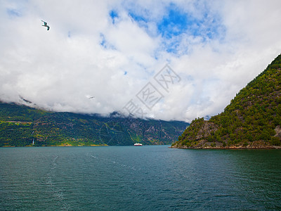 Geiranger 视图悬崖蓝色巡航反射海洋树木美丽旅行天空峡湾图片