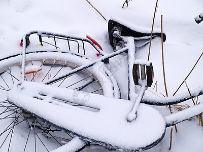 雪中自行车的详情图片