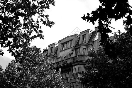 巴黎旅行场景街道途径历史性房屋文化建筑学阳台建筑物图片