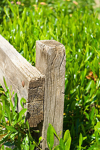 木林围栏指甲栅栏粮食材料木板棕色乡村空白框架建筑图片