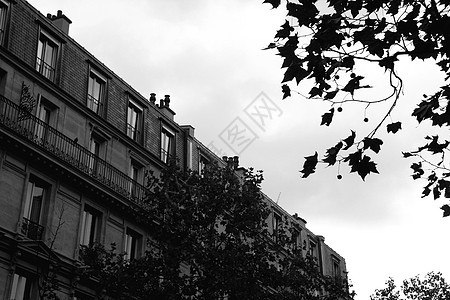 巴黎街道阳台历史性途径建筑物旅行房屋场景建筑学文化图片