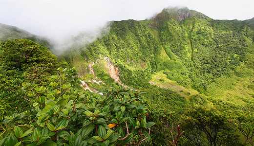 圣基茨休眠天堂海拔背风爬坡杂草热带陨石火山旅行图片