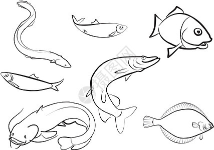 鱼套鱼产品饮食海鲜渔夫鲱鱼插图食物维生素海洋尾巴图片