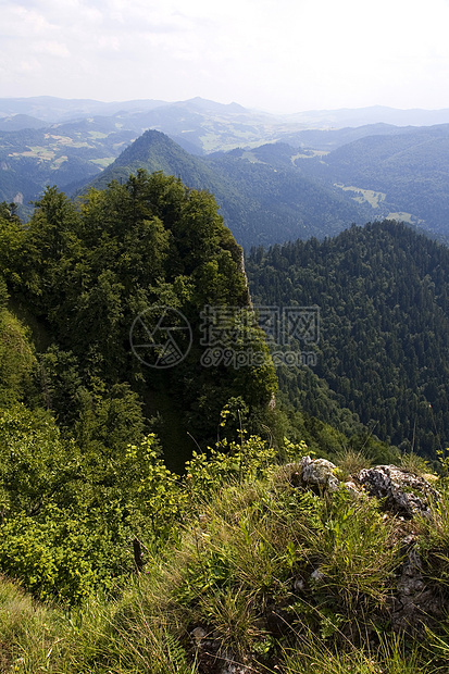 美丽的山区风景跳闸天空绿色蓝色天际苔藓衬套森林太阳巅峰图片