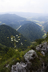 美丽的山区风景天际巅峰天空跳闸苔藓蓝色全景绿色衬套森林图片