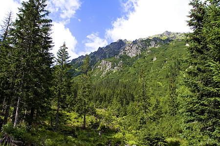 美丽的山区风景绿色土地跳闸全景天际蓝色太阳巅峰天空衬套图片