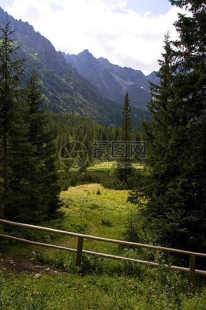 美丽的山区风景太阳天空衬套蓝色森林土地苔藓巅峰跳闸全景图片